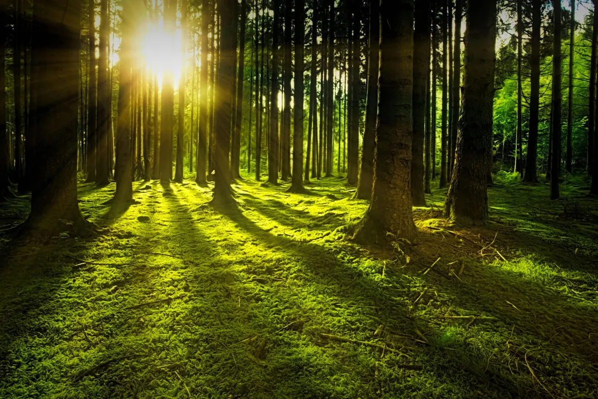 The Value of Sustainable Craftsmanship